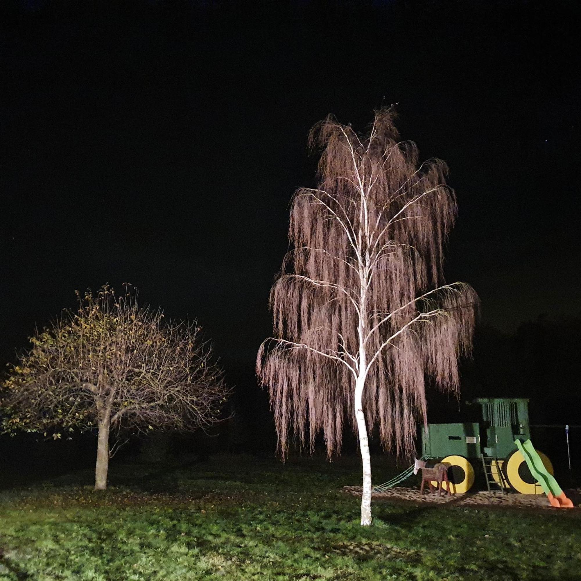 Hotel A2 Schopsdorf  Dış mekan fotoğraf